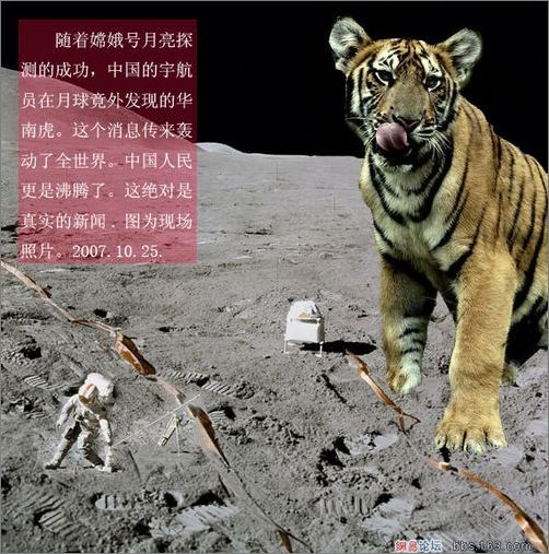 好奇号看到天了？